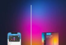 Smarte Govee RGBIC LED Standleuchte mit App & Sprachsteuerung – Smart-Home